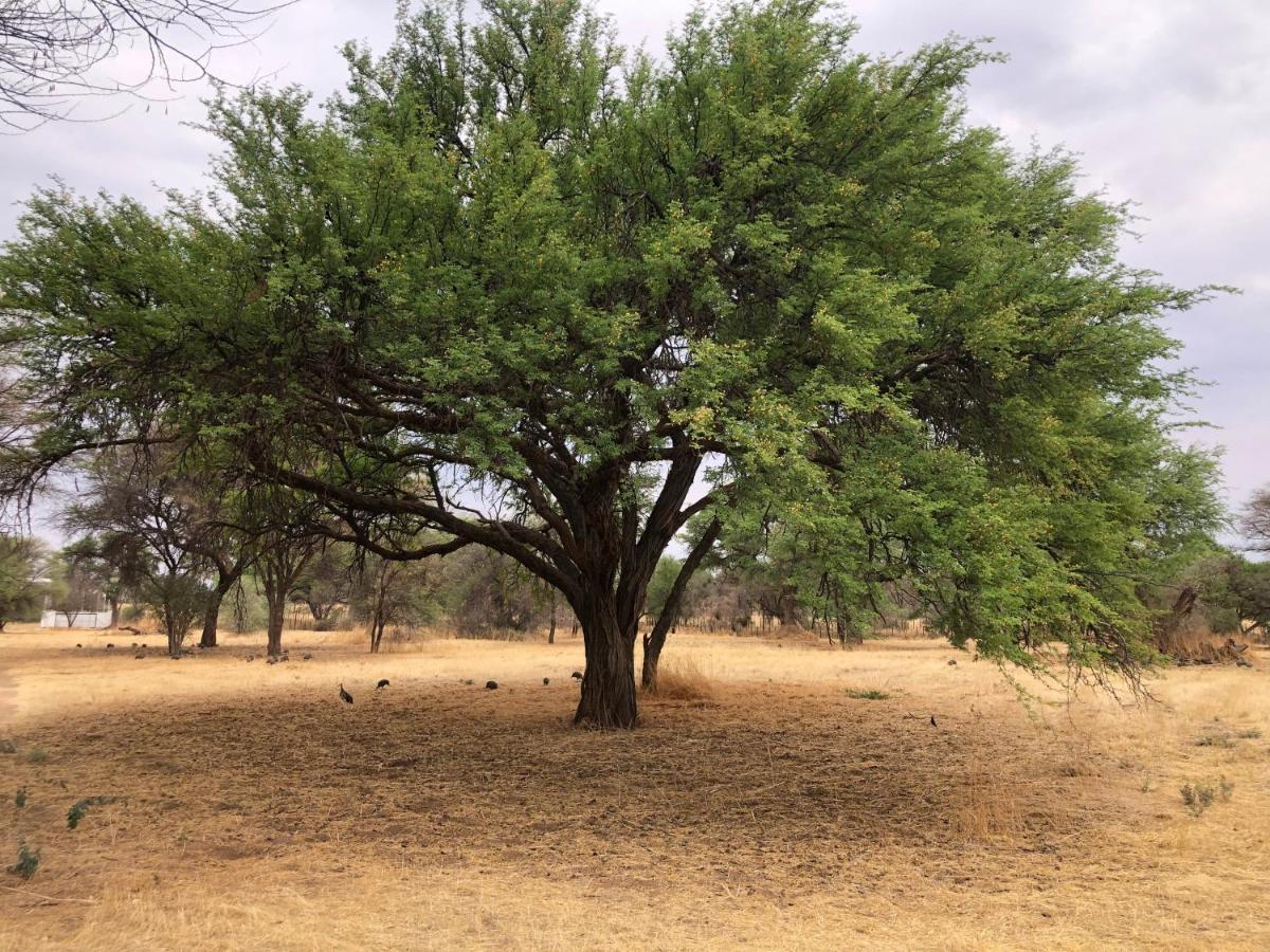 Okahandja Country Hotel מראה חיצוני תמונה